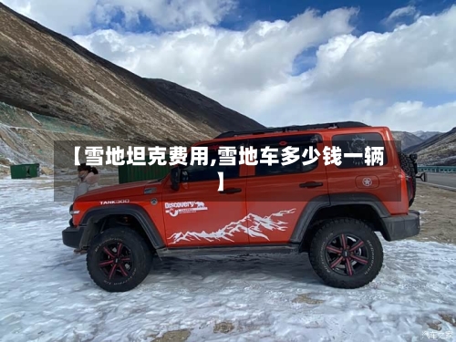 【雪地坦克费用,雪地车多少钱一辆】-第2张图片