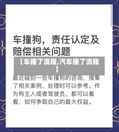 【车撞了流程,汽车撞了流程】-第2张图片