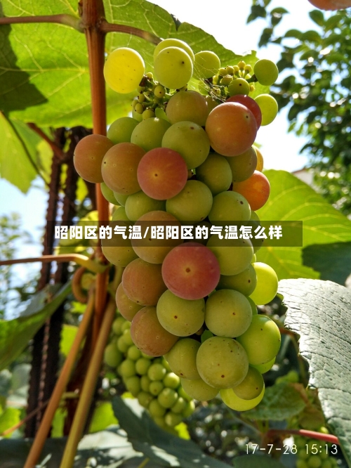 昭阳区的气温/昭阳区的气温怎么样