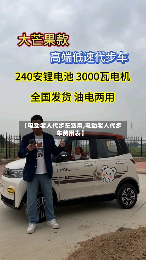 【电动老人代步车费用,电动老人代步车费用表】