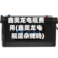 鑫奥龙电瓶费用(鑫奥龙电瓶是杂牌吗)-第3张图片