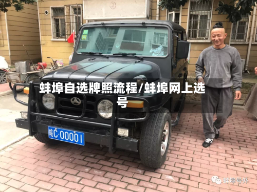 蚌埠自选牌照流程/蚌埠网上选号