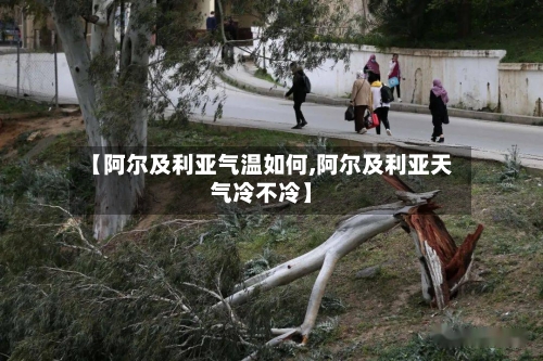 【阿尔及利亚气温如何,阿尔及利亚天气冷不冷】