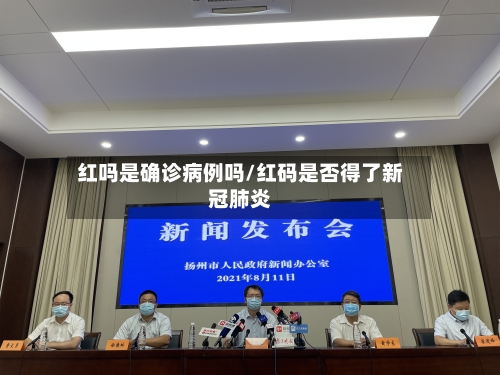 红吗是确诊病例吗/红码是否得了新冠肺炎
