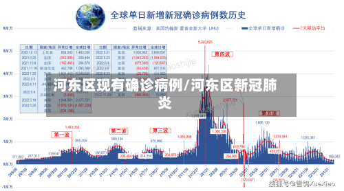 河东区现有确诊病例/河东区新冠肺炎