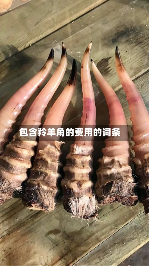 包含羚羊角的费用的词条-第2张图片