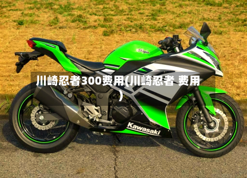 川崎忍者300费用(川崎忍者 费用)-第2张图片