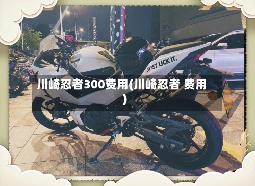 川崎忍者300费用(川崎忍者 费用)