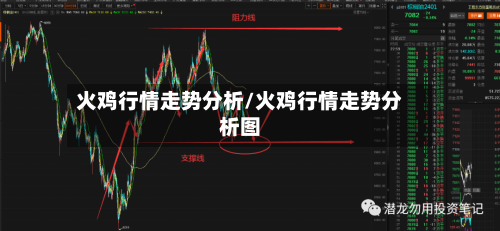 火鸡行情走势分析/火鸡行情走势分析图-第3张图片