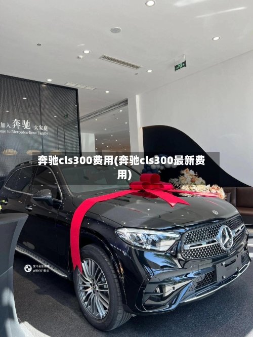 奔驰cls300费用(奔驰cls300最新费用)