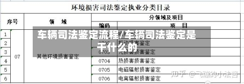 车辆司法鉴定流程/车辆司法鉴定是干什么的-第2张图片