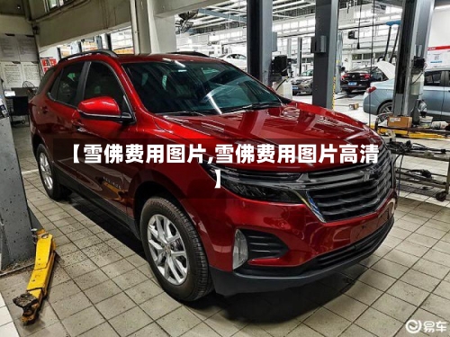 【雪佛费用图片,雪佛费用图片高清】