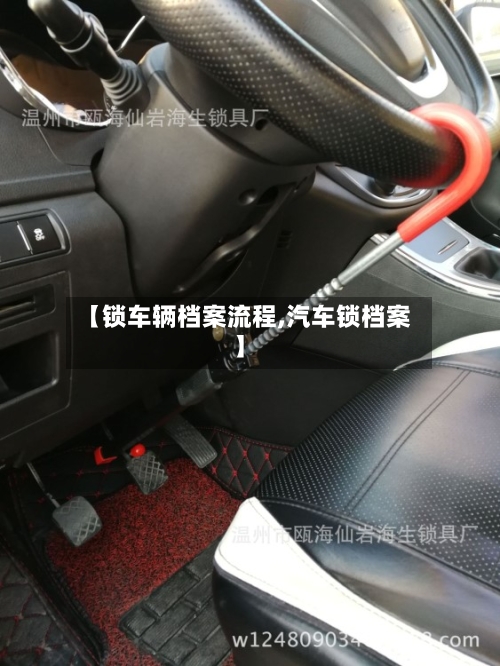 【锁车辆档案流程,汽车锁档案】-第2张图片