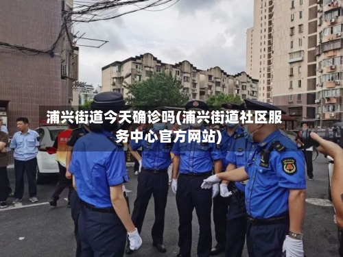 浦兴街道今天确诊吗(浦兴街道社区服务中心官方网站)-第2张图片