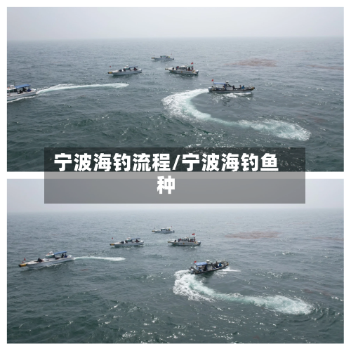 宁波海钓流程/宁波海钓鱼种-第2张图片