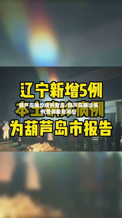 葫芦岛确诊病例查询/葫芦岛确诊病例查询最新消息