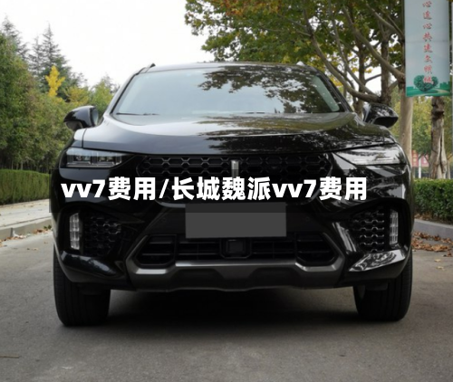 vv7费用/长城魏派vv7费用-第2张图片