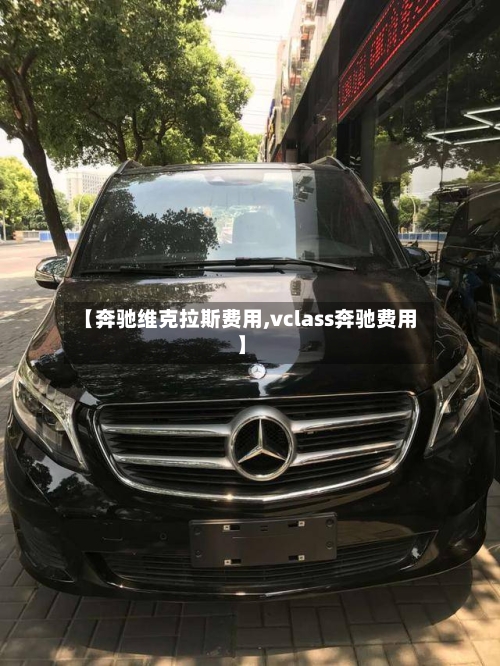 【奔驰维克拉斯费用,vclass奔驰费用】-第2张图片