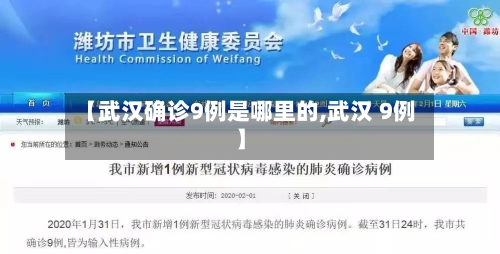 【武汉确诊9例是哪里的,武汉 9例】-第3张图片