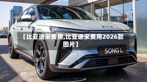【比亚迪宋费用,比亚迪宋费用2026款图片】-第2张图片