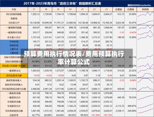 预算费用执行情况表/费用预算执行率计算公式