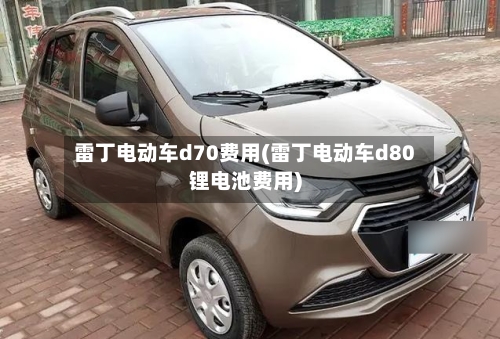 雷丁电动车d70费用(雷丁电动车d80锂电池费用)