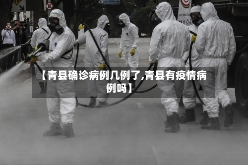 【青县确诊病例几例了,青县有疫情病例吗】