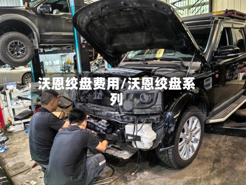 沃恩绞盘费用/沃恩绞盘系列-第3张图片