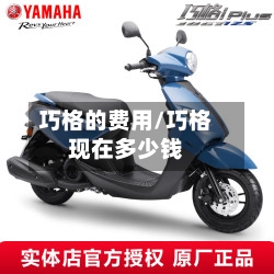 巧格的费用/巧格现在多少钱
