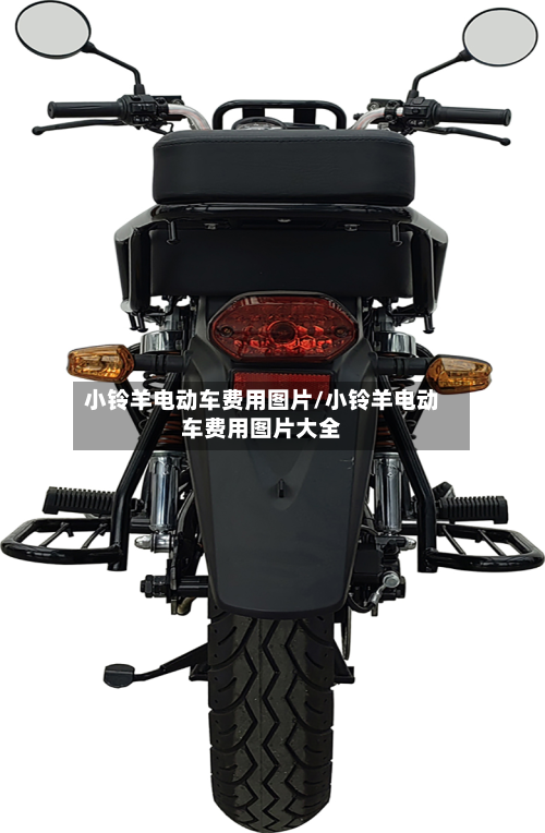 小铃羊电动车费用图片/小铃羊电动车费用图片大全