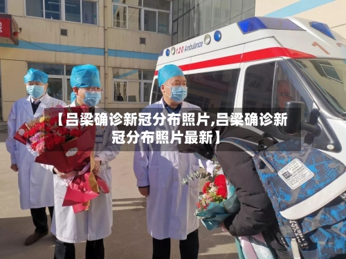 【吕梁确诊新冠分布照片,吕梁确诊新冠分布照片最新】-第3张图片