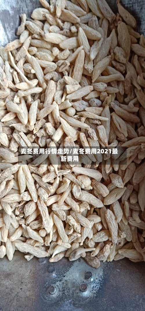 麦冬费用行情走势/麦冬费用2021最新费用