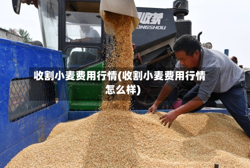 收割小麦费用行情(收割小麦费用行情怎么样)