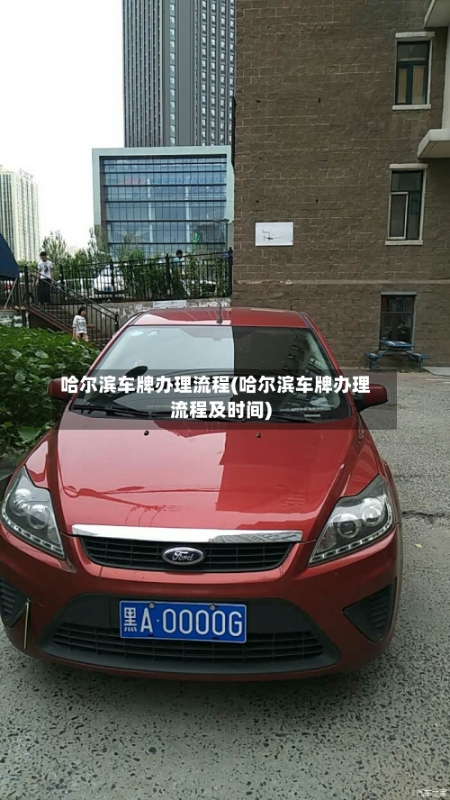 哈尔滨车牌办理流程(哈尔滨车牌办理流程及时间)-第3张图片