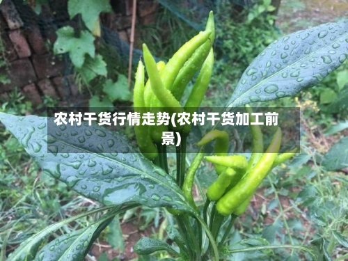 农村干货行情走势(农村干货加工前景)-第2张图片