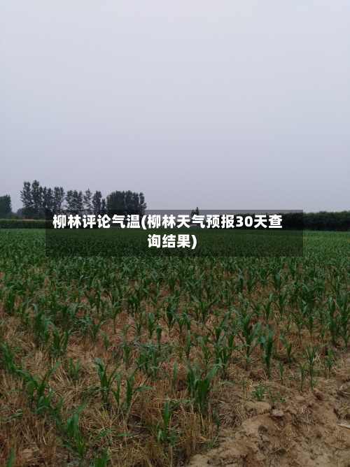 柳林评论气温(柳林天气预报30天查询结果)-第2张图片