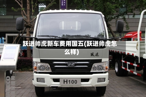 跃进帅虎新车费用国五(跃进帅虎怎么样)-第2张图片