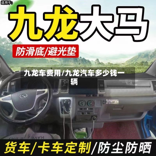 九龙车费用/九龙汽车多少钱一辆-第2张图片