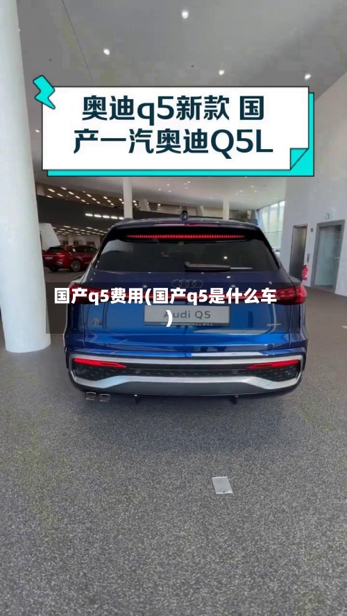 国产q5费用(国产q5是什么车)-第2张图片