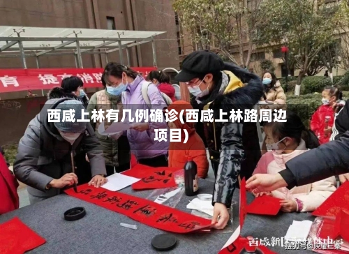 西咸上林有几例确诊(西咸上林路周边项目)