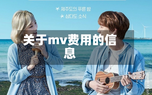 关于mv费用的信息
