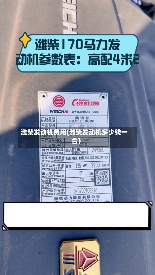 潍柴发动机费用(潍柴发动机多少钱一台)